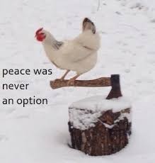 Create meme: goose peace was never an option, peace was never an option, chicken 