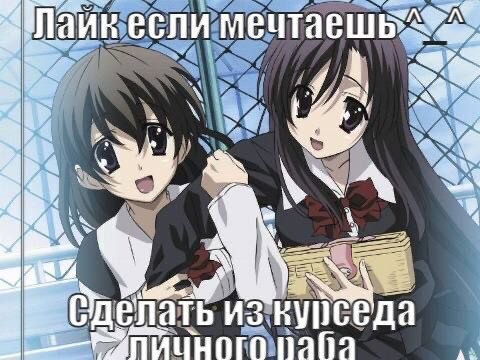 Создать мем: аниме школьные дни, school days школьные дни - scene 26, school days аниме