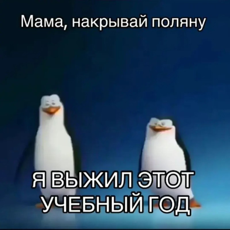 Создать мем: мадагаскар пингвины, мем пингвин, пингвины из мадагаскара шкипер