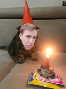 Создать мем: день рождения грустный праздник, коты, кот