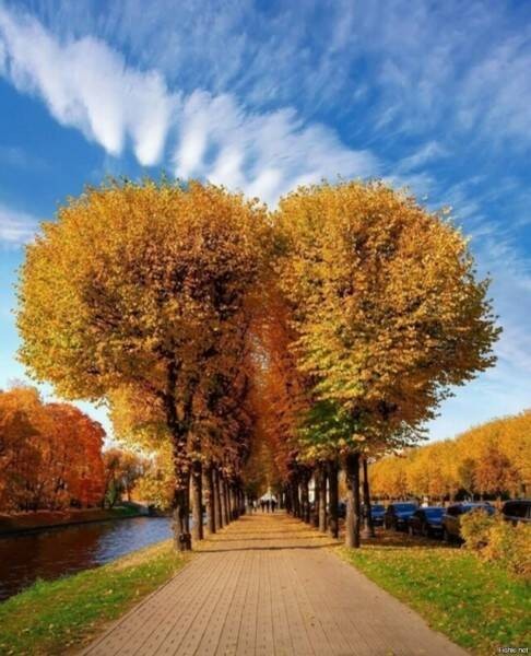 Create meme: autumn park, early autumn, autumn moscow