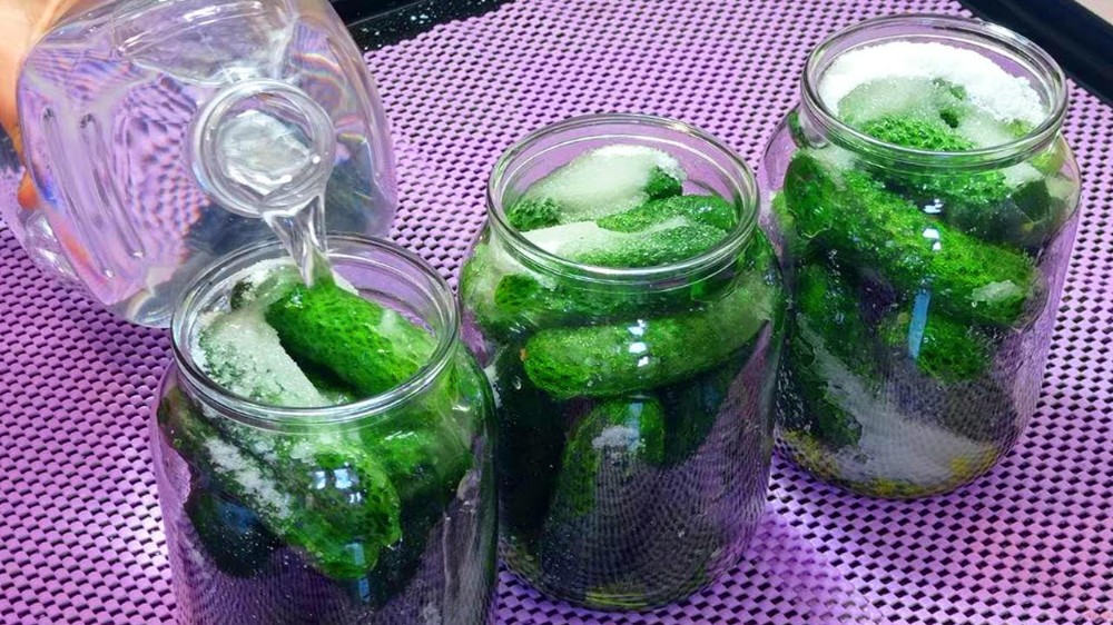 Create meme: pickles, canning cucumbers, pickled cucumbers for winter