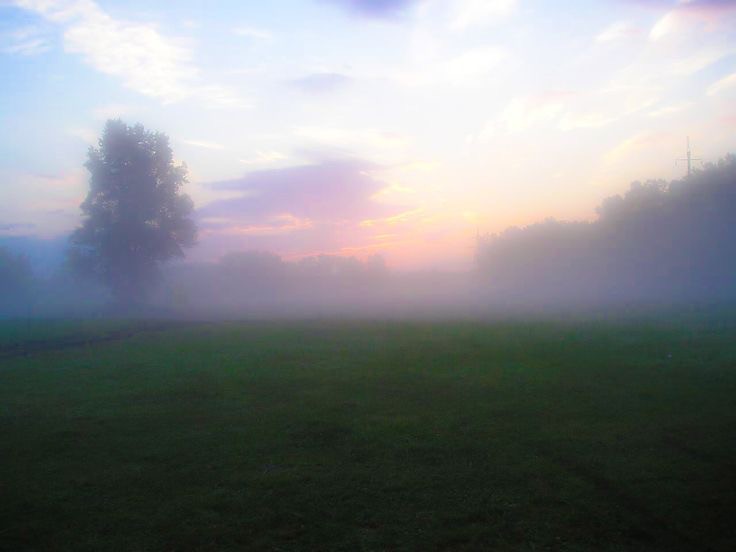 Create meme: morning field in the fog, the fog of dawn, fog field