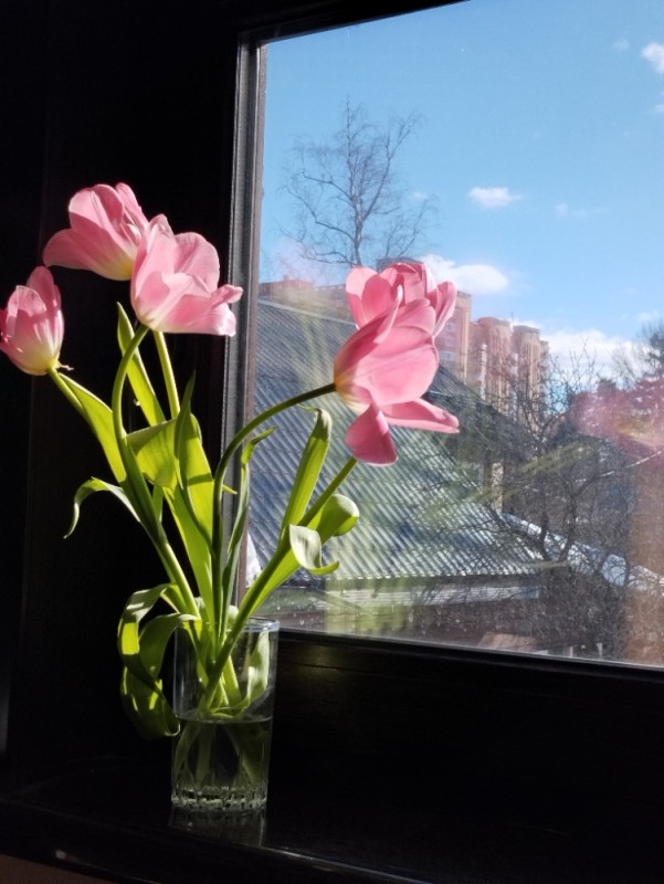 Создать мем: букет цветов на подоконнике, тюльпаны на окне, букет цветов на окне