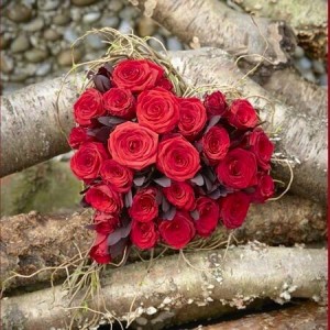 Create meme: beautiful roses, red roses, flowers red roses