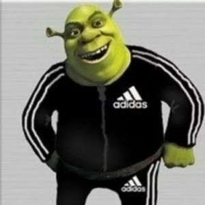 Create meme: Shrek in Adidas, donkey in adidas, donkey from shrek in adidas