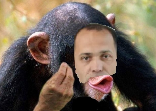 Создать мем: обезьяны шимпанзе, шимпанзе мем, обезьяна с губами