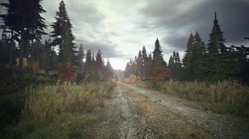 Создать мем: dayz standalone сталкер, dayz, новый луг dayz