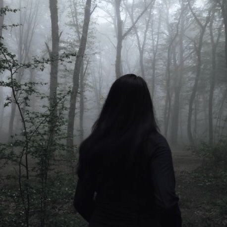 Create meme: dark forest, dark photos, the forest dark