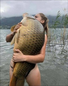 Create meme: big carp