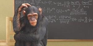 Создать мем: math, джессика обезьянка, шимпанзе