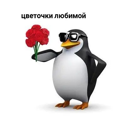 Create meme: penguin thank you meme, meme penguin phone, the penguin meme