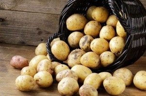 Create meme: potato cultivar gala, potatoes, new potatoes