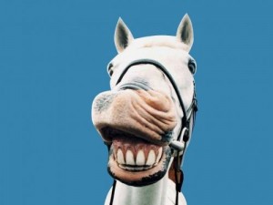 Create meme: smile horse, the horse neighs, the horse smiles
