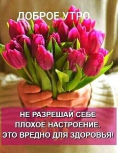 Create meme: good morning friends, good mood, tulips