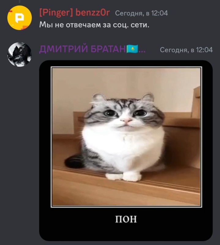 Create meme: memes cat, cats , sweet