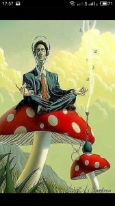 Create meme: mushroom music creator, psychedelic mushrooms, fly-agaric trip