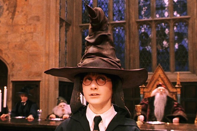 Create meme: Harry Potter sorting hat, harry potter harry, harry potter harry potter
