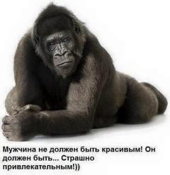 Создать мем: быть красивой, есть, gorilla