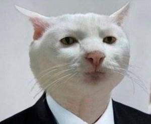 Создать мем: мем с белым котом, кошка, приемлемо мем кот в костюме