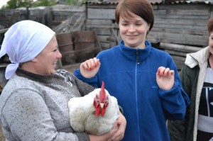Create meme: rooster, in the village, chicken