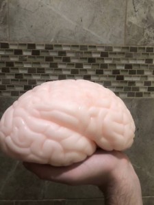 Создать мем: мозг шина, гигантский мозг, мозг человека