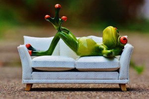 Create meme: relaxation, bullfrog sofa, frog