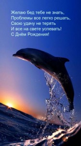 Создать мем: красивый дельфин, море дельфины, кит дельфин