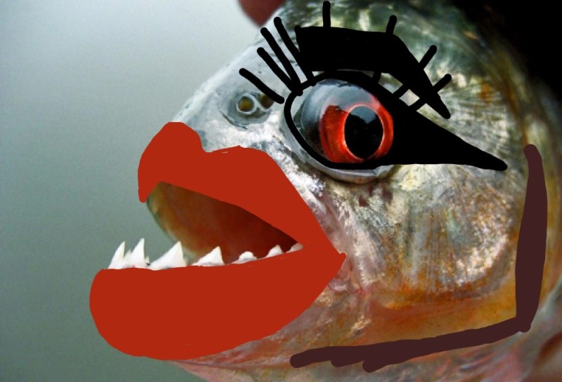 Создать мем: зубастая рыба, обыкновенная пиранья, пираньи