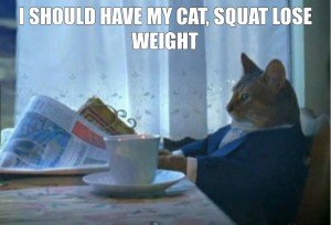 Создать мем: кот с газетой за столом, смешные кошки, котэ