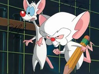 Создать мем: pinky and the brain, мультик пинки и брейн, пинки и брейн картинки