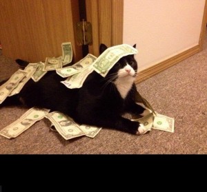 Create meme: cat, filled with funny money, cat