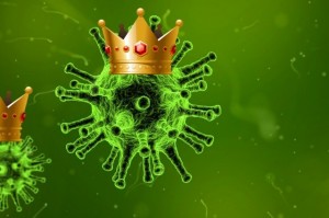 Create meme: coronaviruses, the virus in the microscope, viruses under the microscope