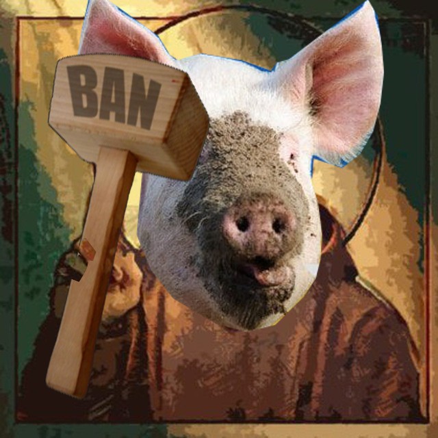 Создать мем: свиняча морда, свинья боров, свинья на стройке