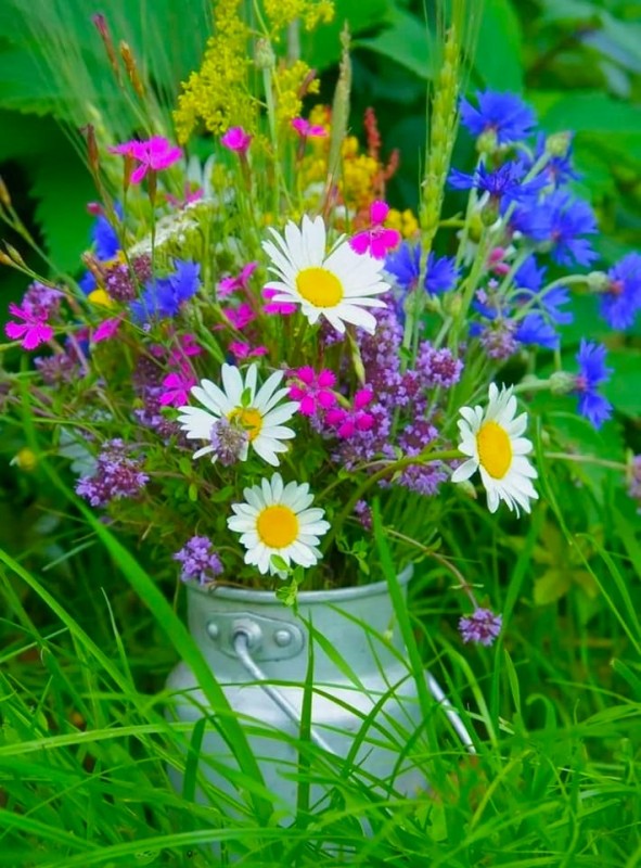 Create meme: wildflowers , summer wildflowers, a bouquet of wild flowers 