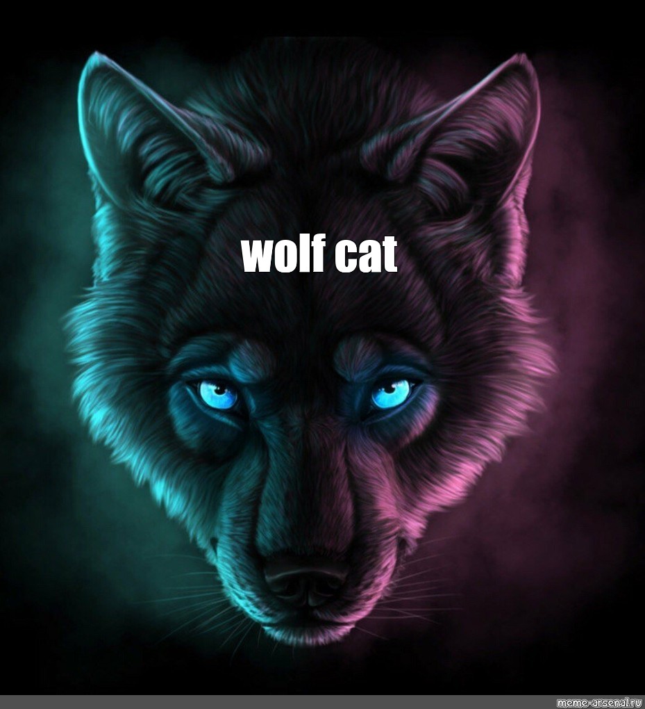 Stream anime wolf music | Listen to songs, albums, playlists for free on  SoundCloud
