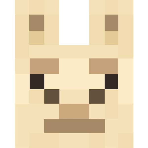 Create meme: ocelot's head in minecraft, skin minecraft , game minecraft 