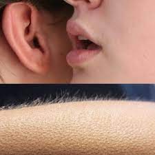 Create meme: whispers, goosebumps, Meme whispers in my ear and goosebumps