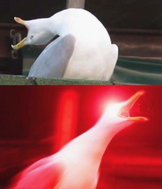 Create meme: meme screaming Seagull, a deep breath and meme, a deep breath