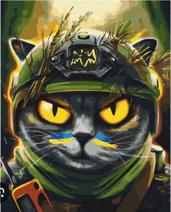 Create meme: The scout cat, Painting by numbers kitty, seals 
