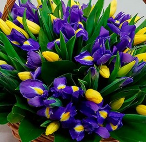 Create meme: bouquet of tulips and irises