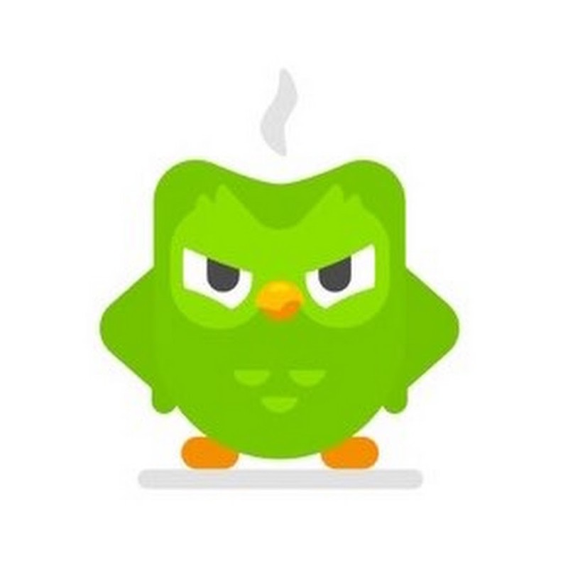 Создать мем: дуолинго дуо, сова из дуолинго, duolingo злая