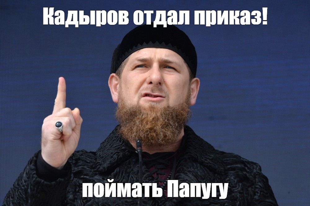 Кадыров про крокус сити