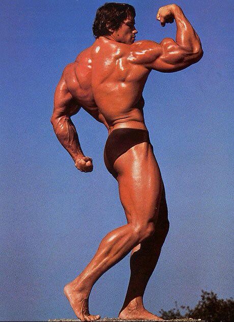 Create meme: Arnold Schwarzenegger , Mr. Olympia Arnold Schwarzenegger, Arnold Schwarzenegger at the peak of his form