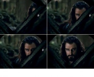 Create meme: meme Thorin, Thorin Oakenshield, the hobbit