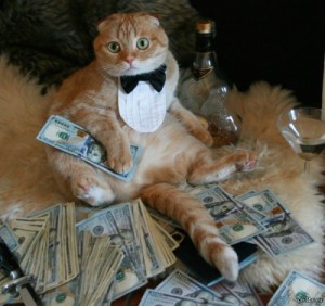 Create meme: Rich cat