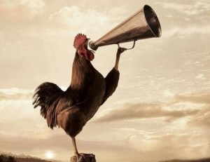 Create meme: buenos dias pedrilas original, the rooster shouts to the crow, flashy cock