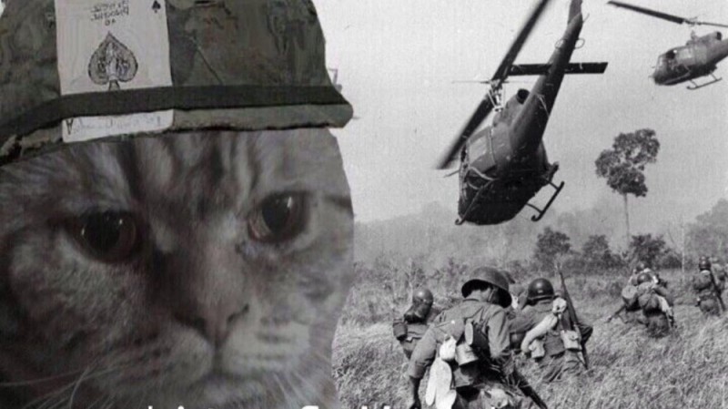 Create meme: the Vietnam flashbacks, Vietnam flashbacks, vietnamese flashbacks cat