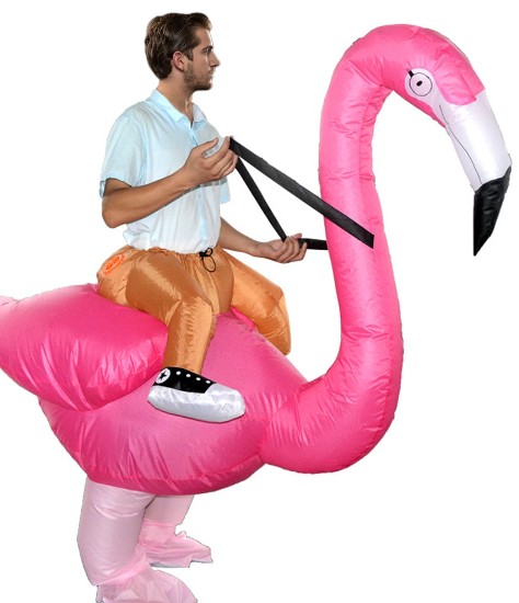 Create meme: inflatable flamingo costume, flamingo costume, flamingo inflatable