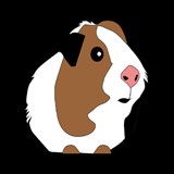 Create meme: guinea pig, Guinea pig